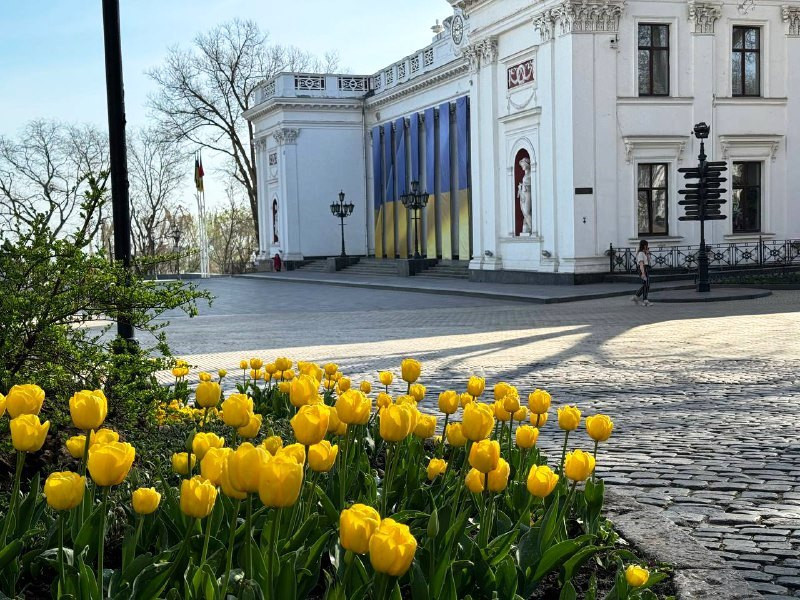 10015 image for slide