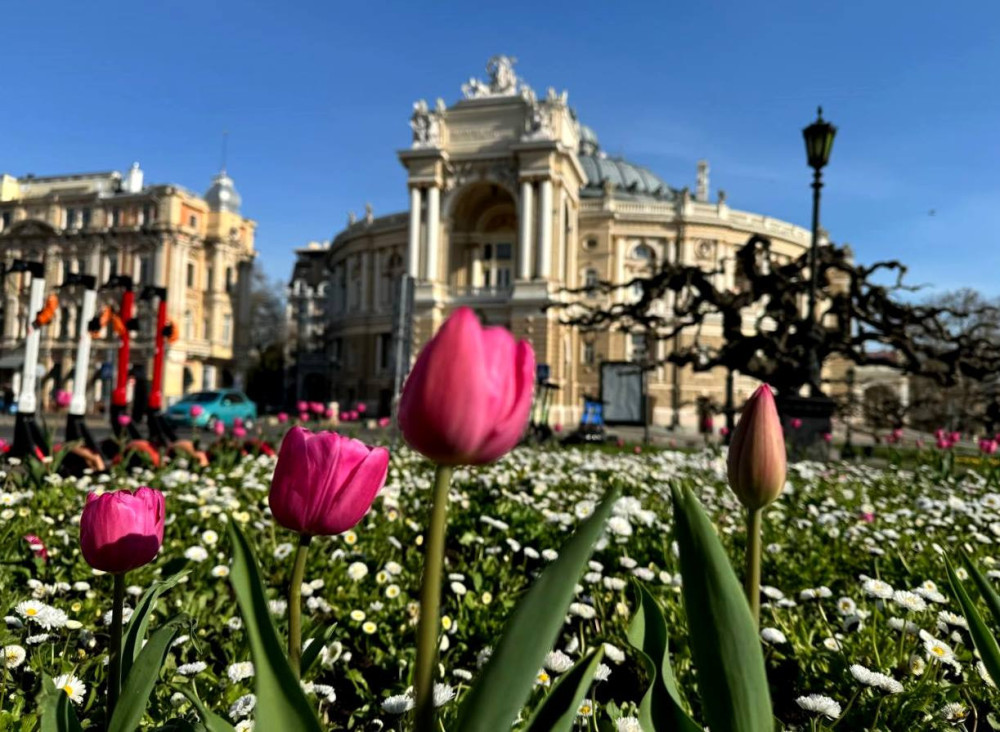 10016 image for slide