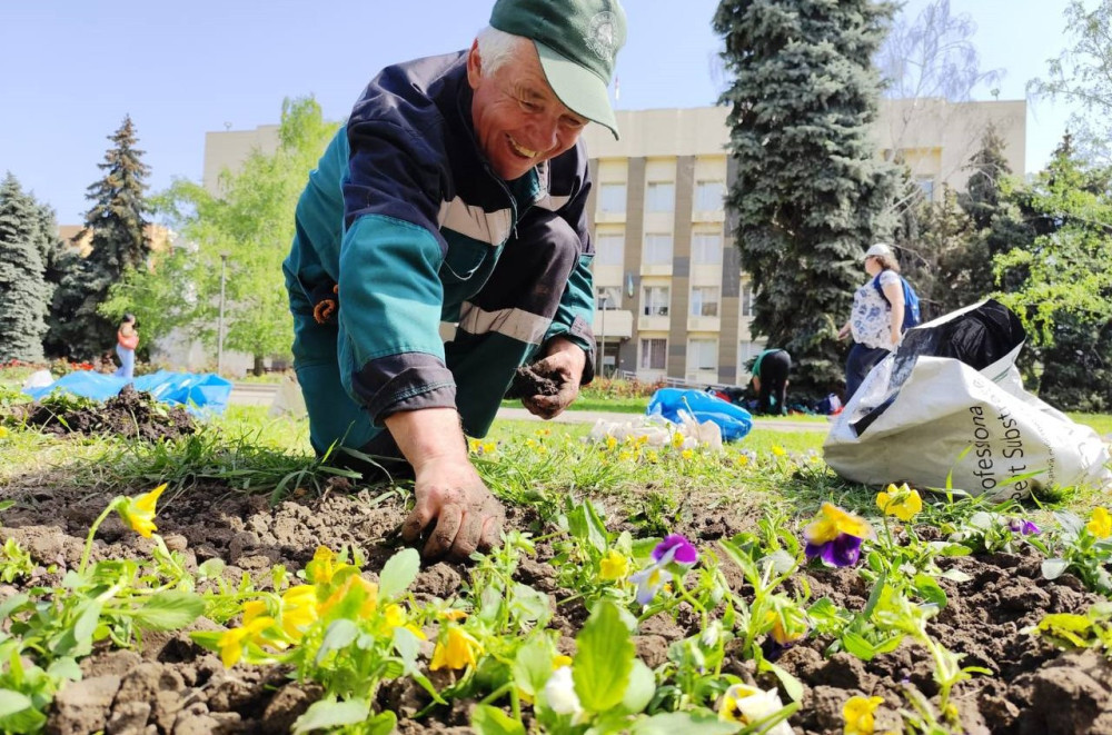 10017 image for slide