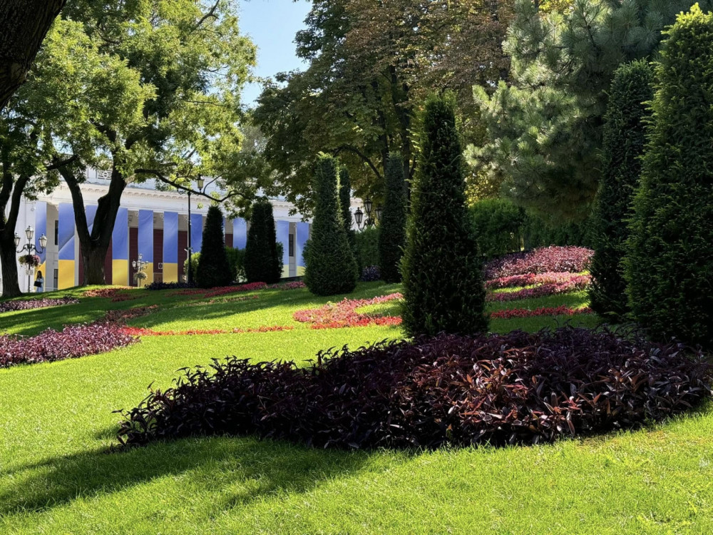 10019 image for slide