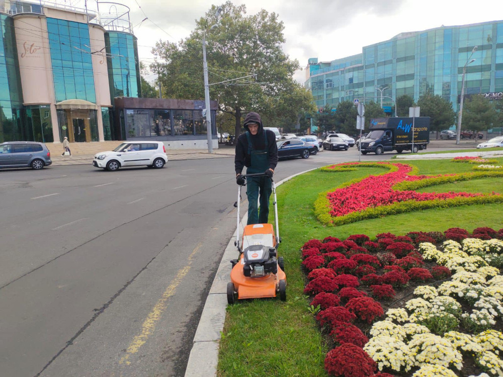 10022 image for slide