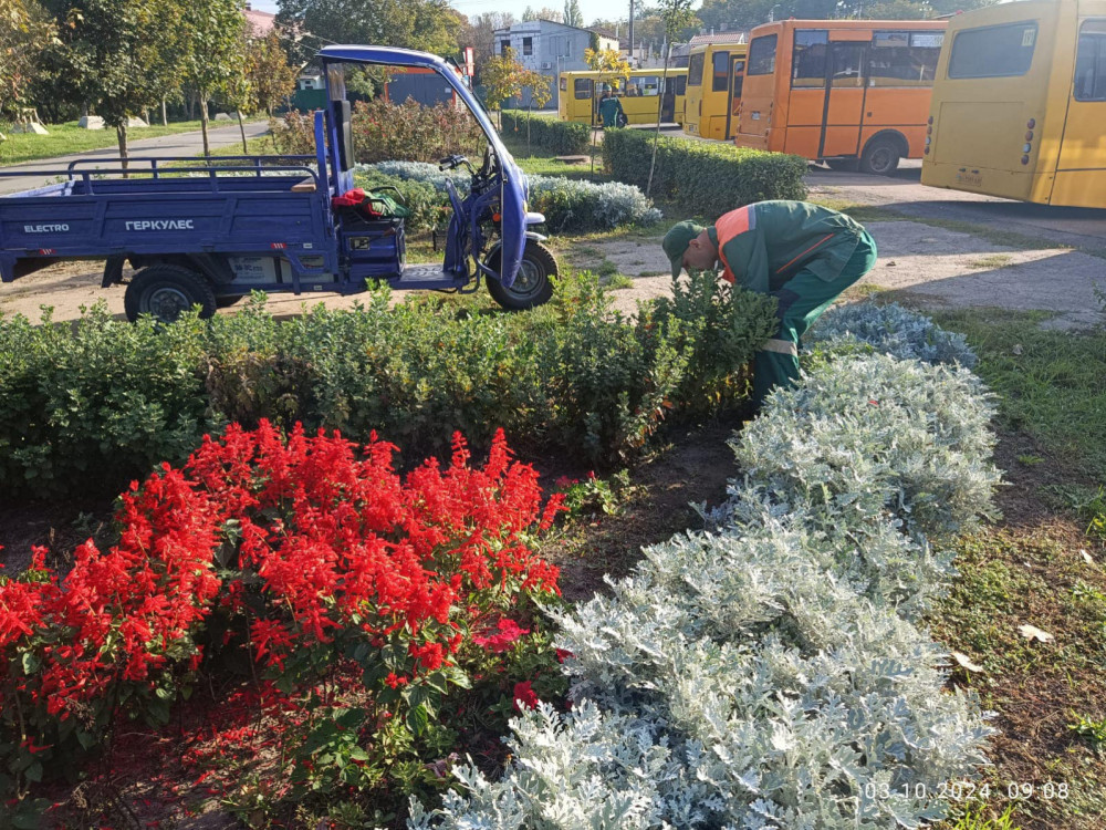 10023 image for slide