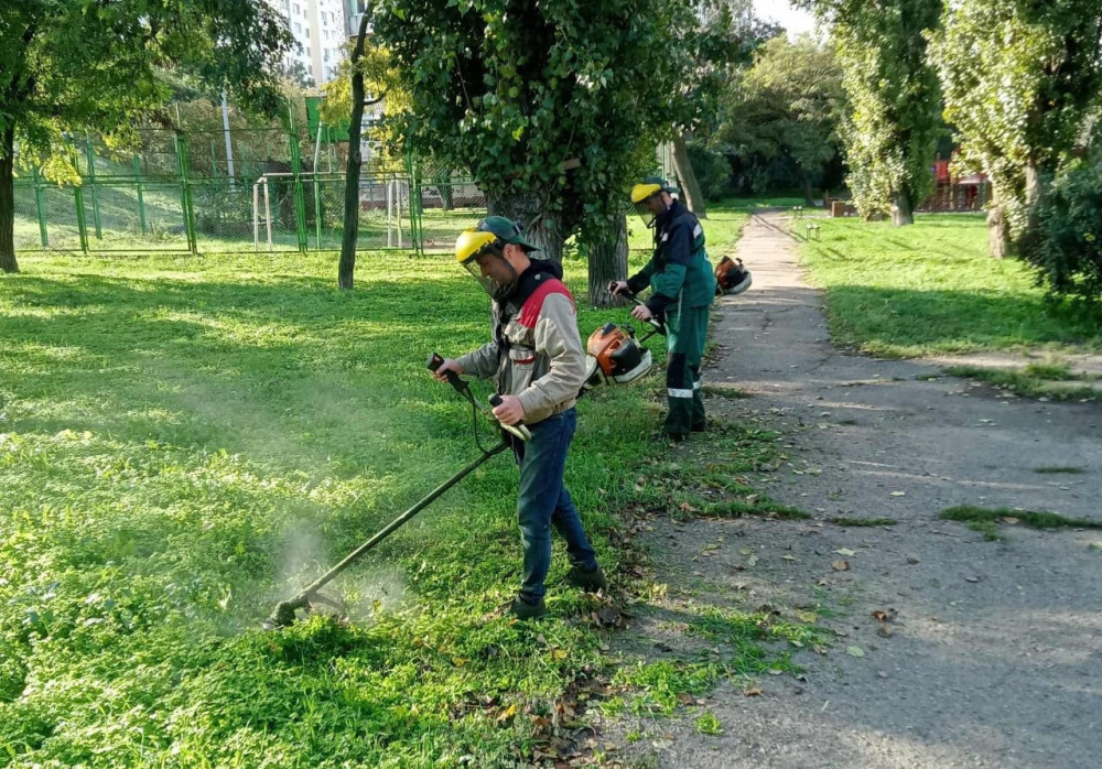 10029 image for slide