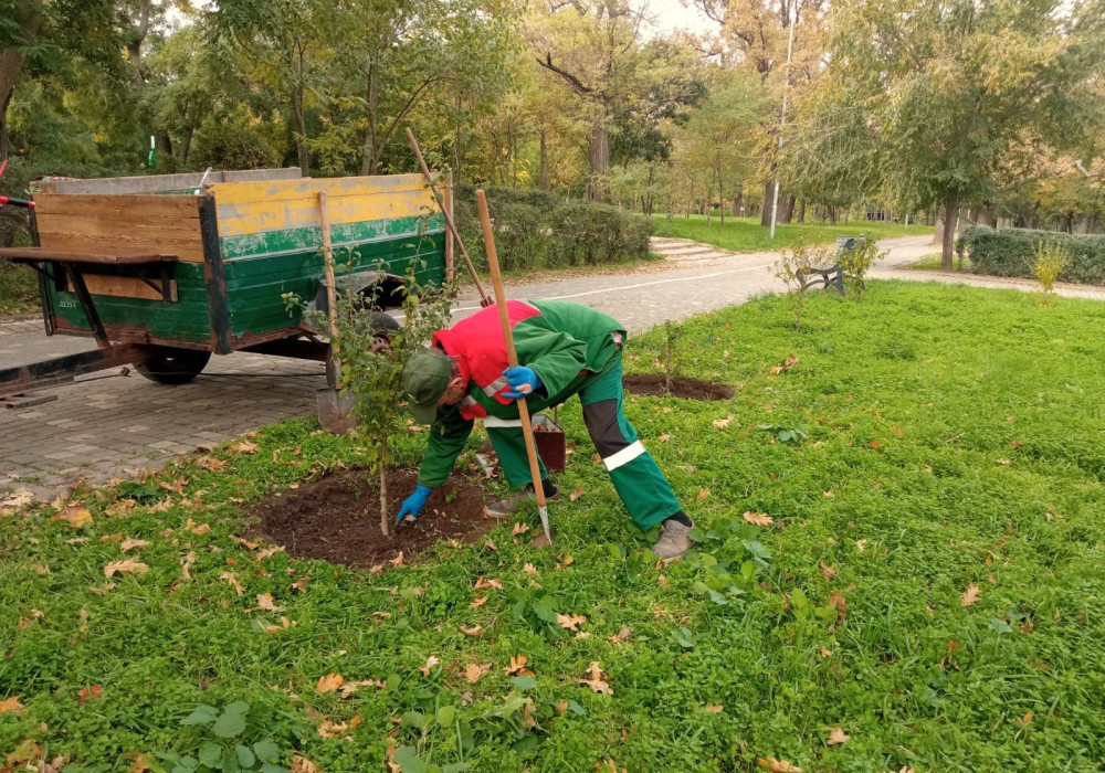 10030 image for slide