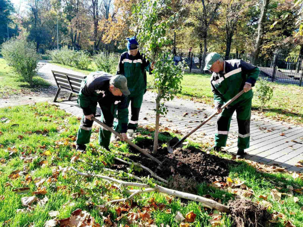 10031 image for slide