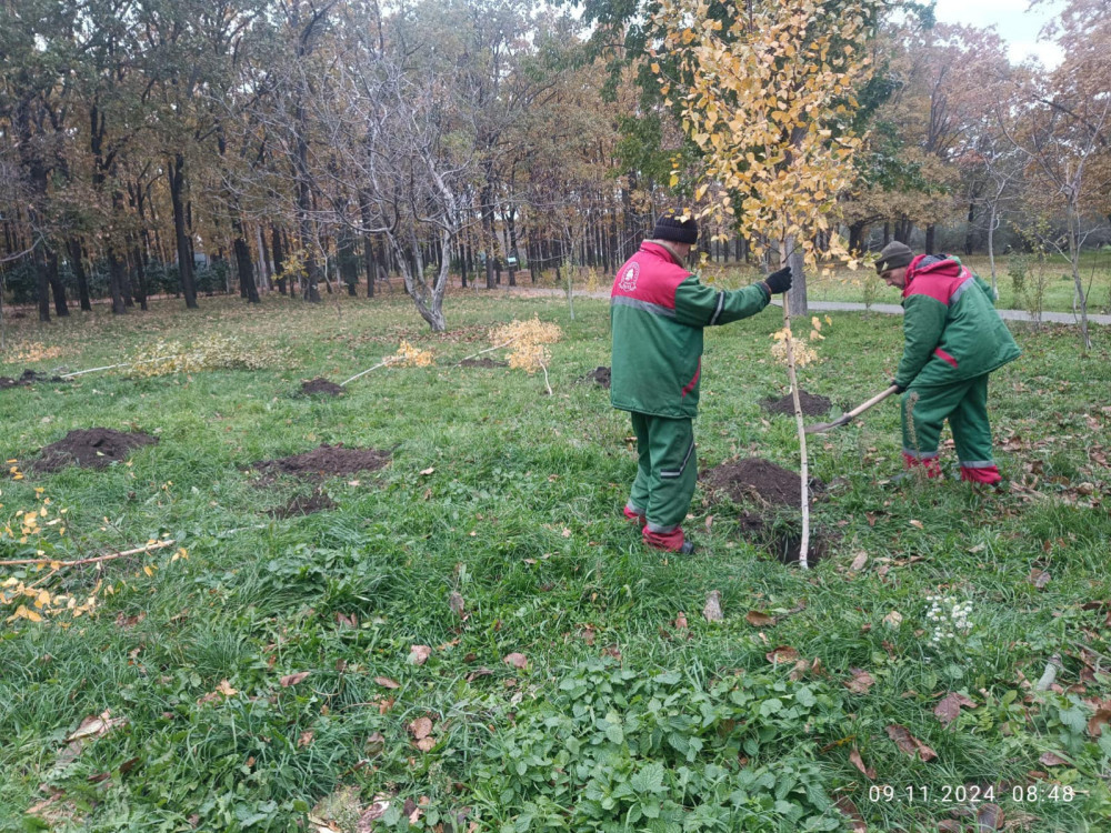 10033 image for slide