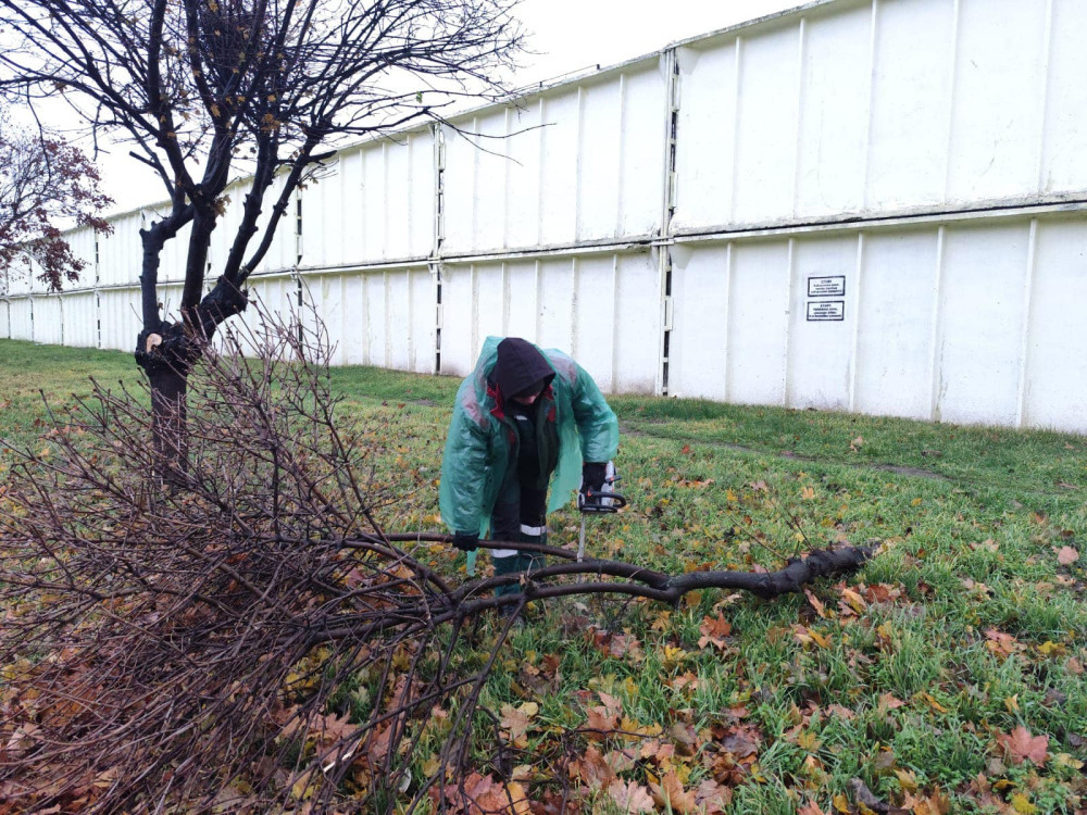 10035 image for slide