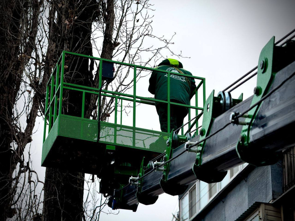 10037 image for slide