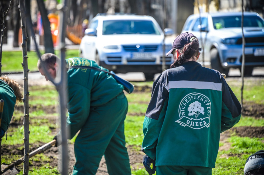 10040 image for slide