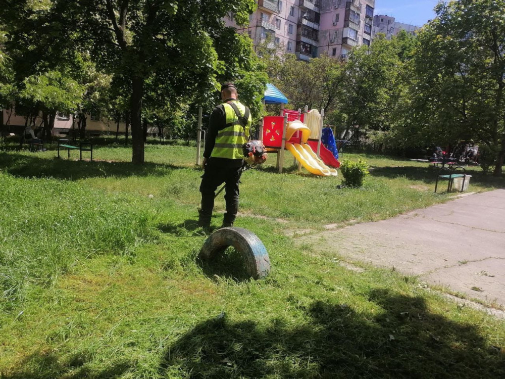 10044 image for slide