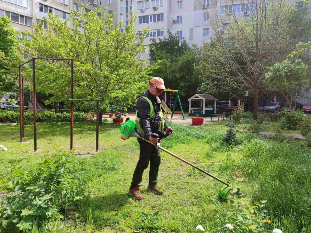 10046 image for slide