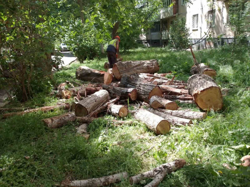 10049 image for slide