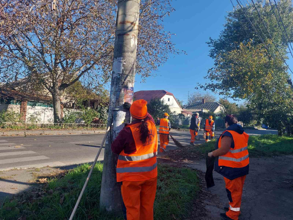 10051 image for slide