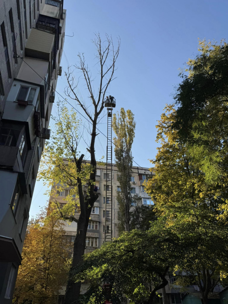 10053 image for slide