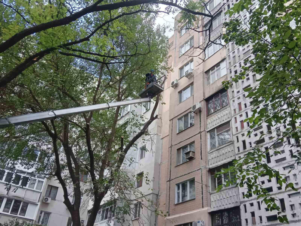 10057 image for slide