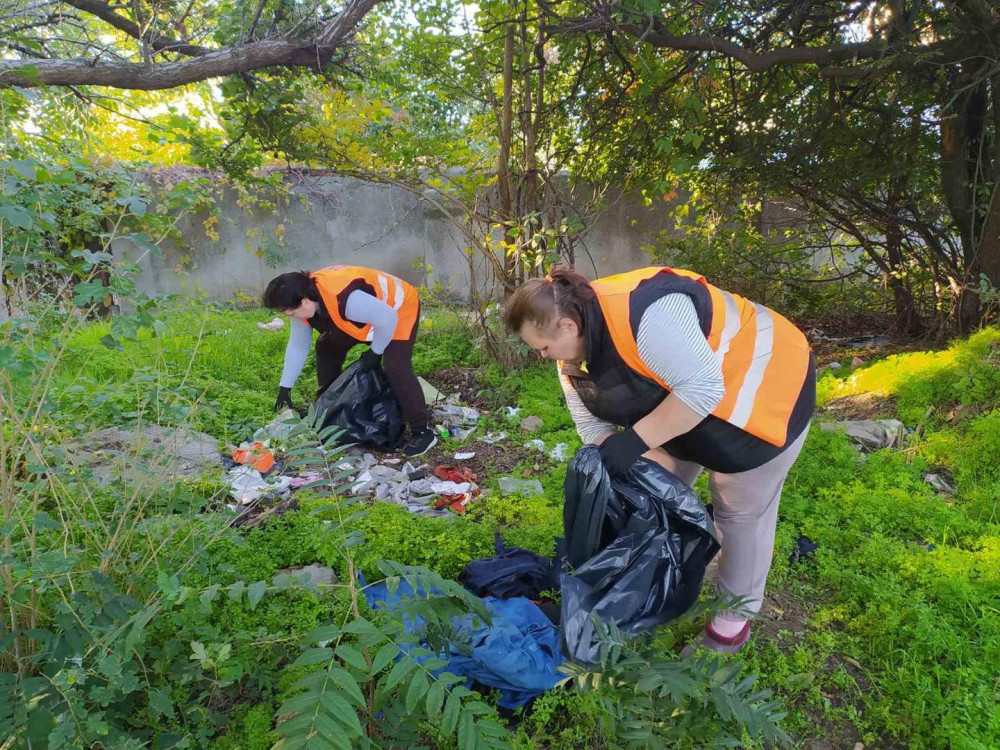 10074 image for slide