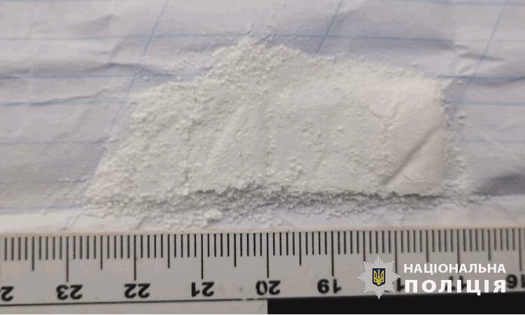 10090 image for slide