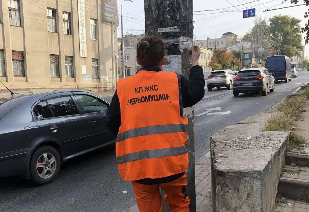 10094 image for slide