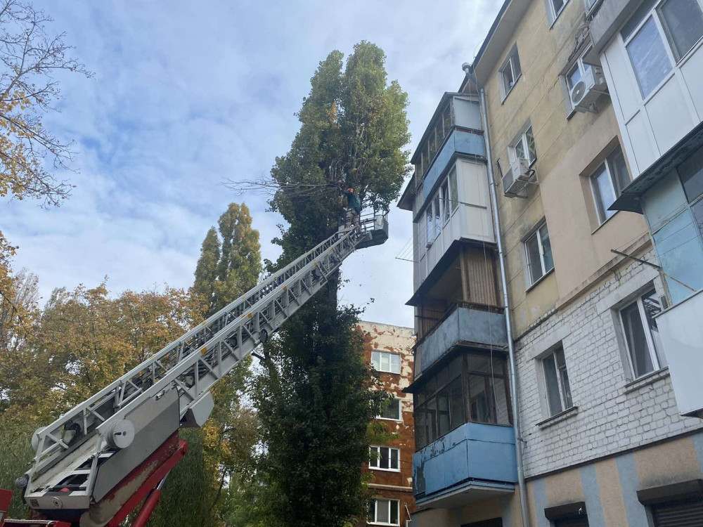 10095 image for slide