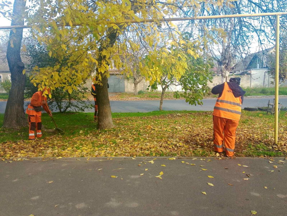 10097 image for slide