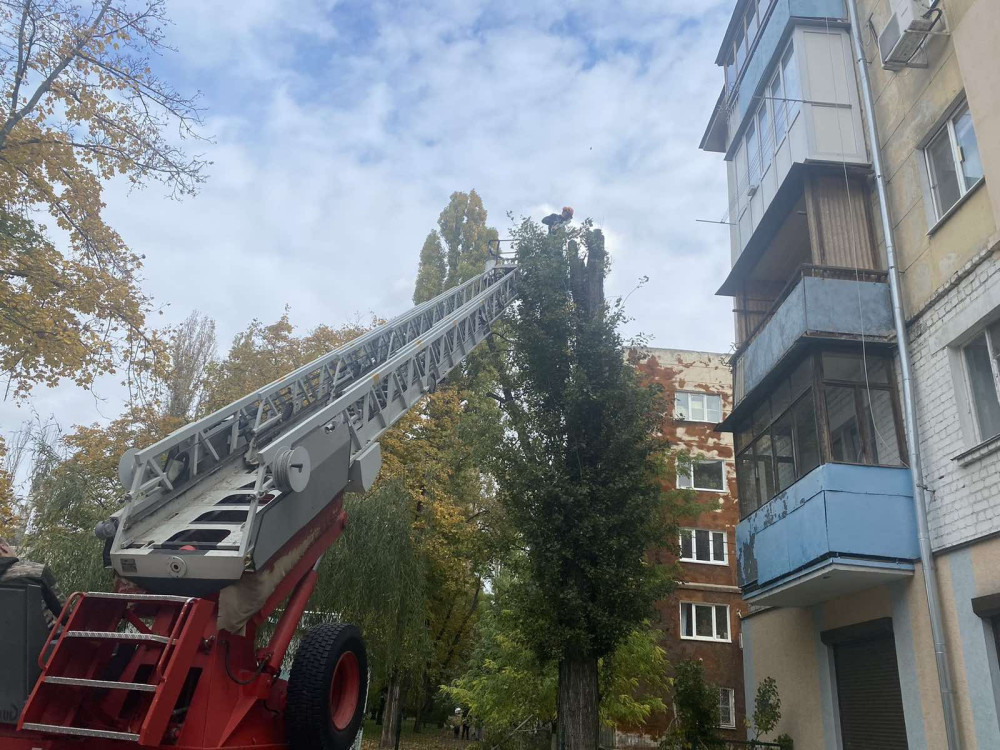 10099 image for slide