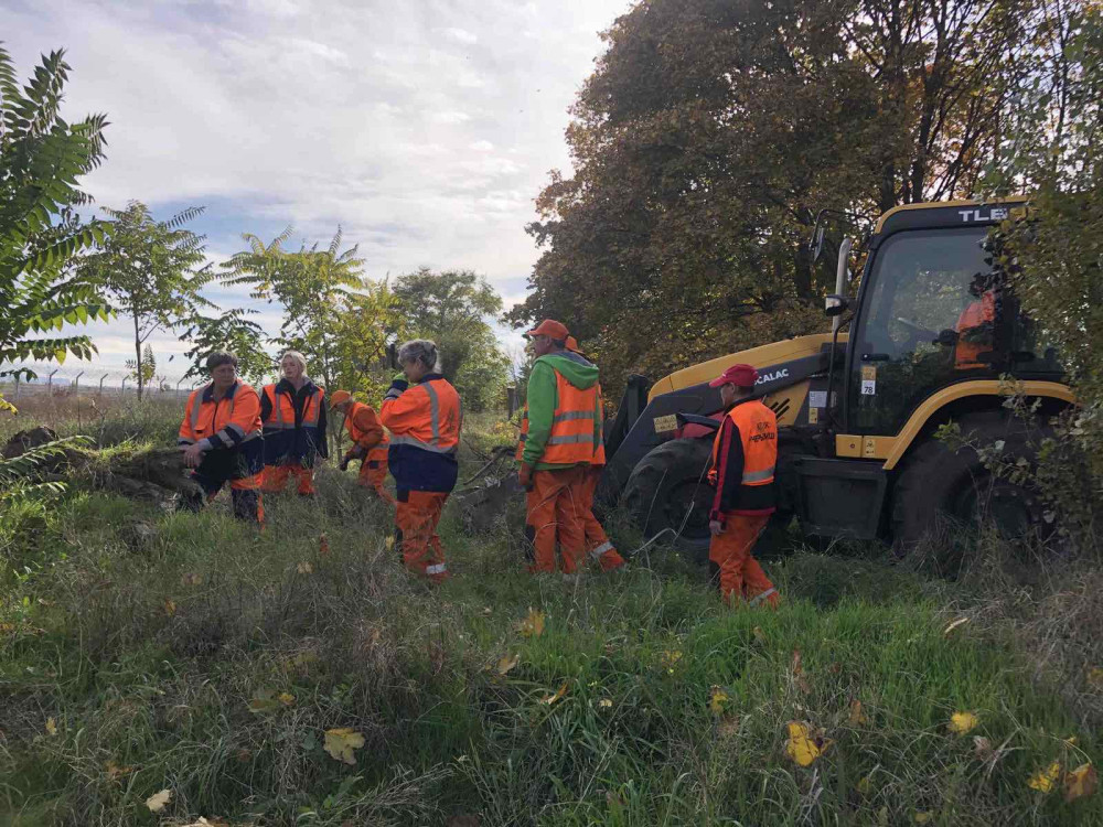 10100 image for slide