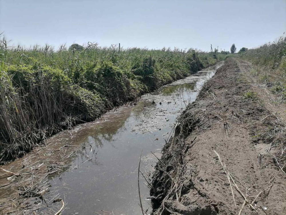 10181 image for slide