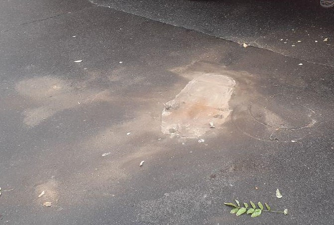 10198 image for slide