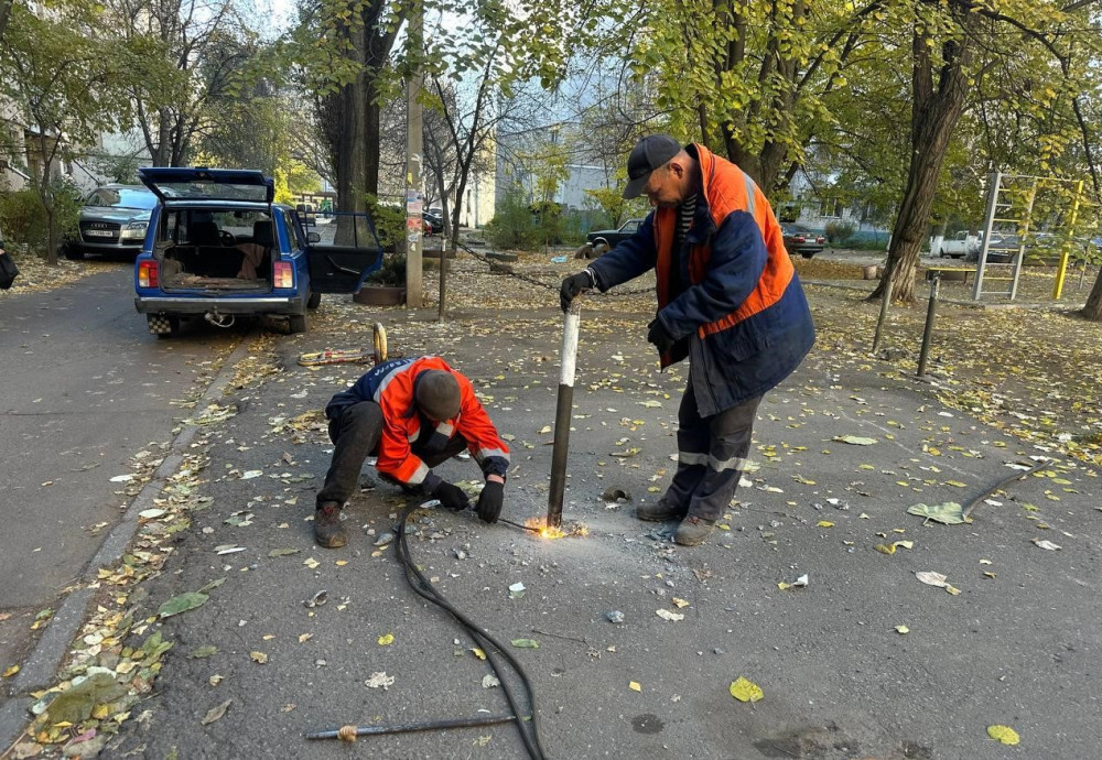 10204 image for slide