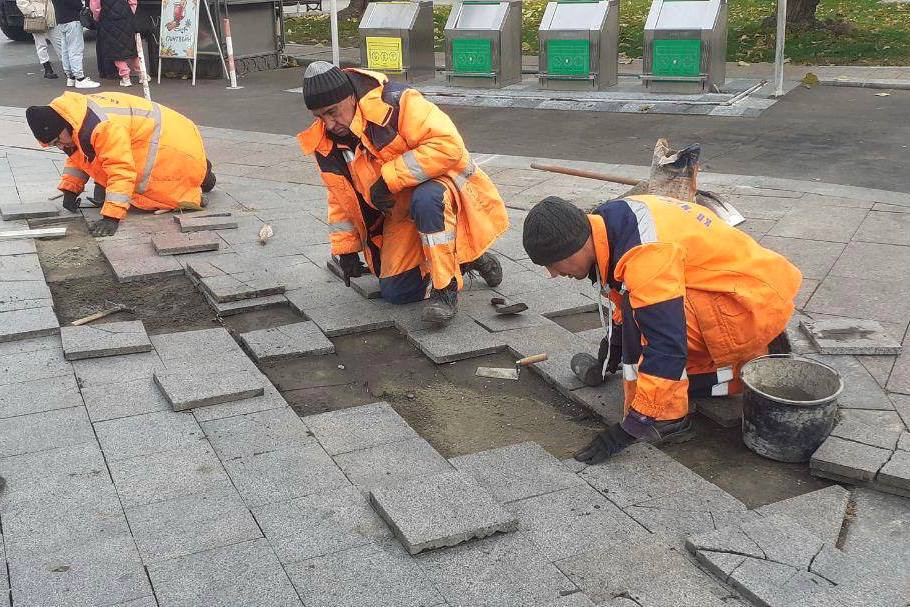 10219 image for slide