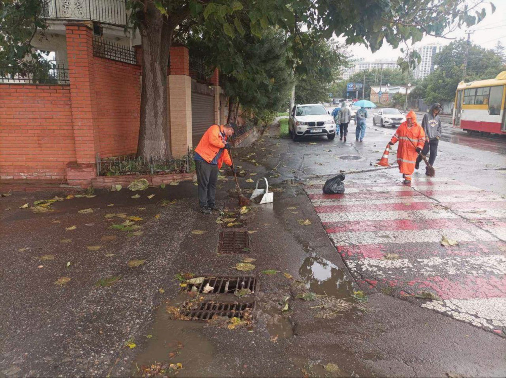 10369 image for slide