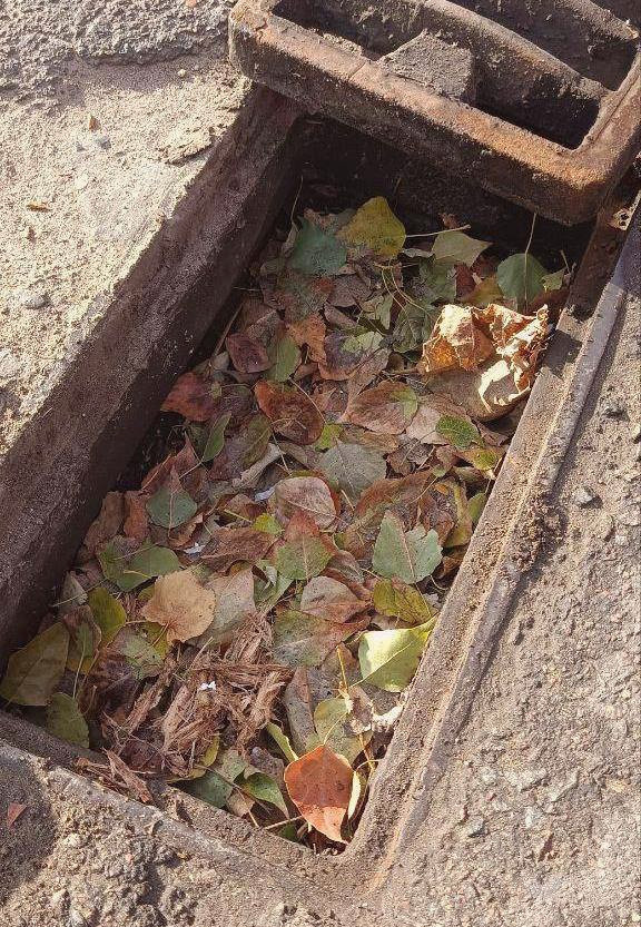 10373 image for slide