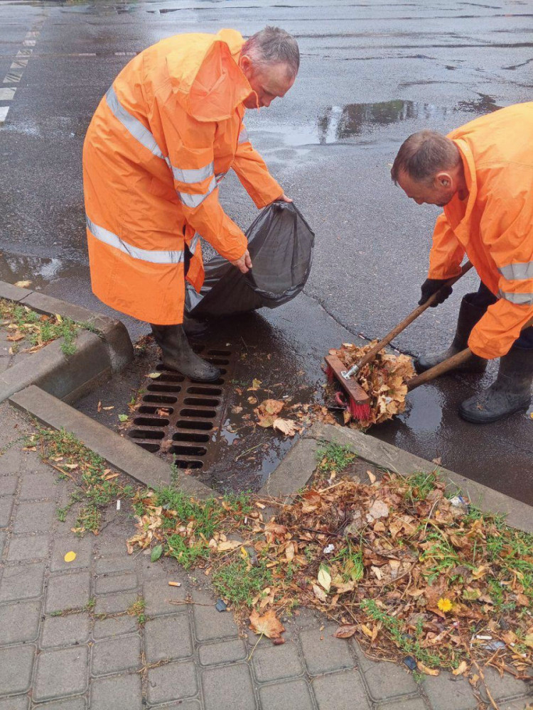 10393 image for slide