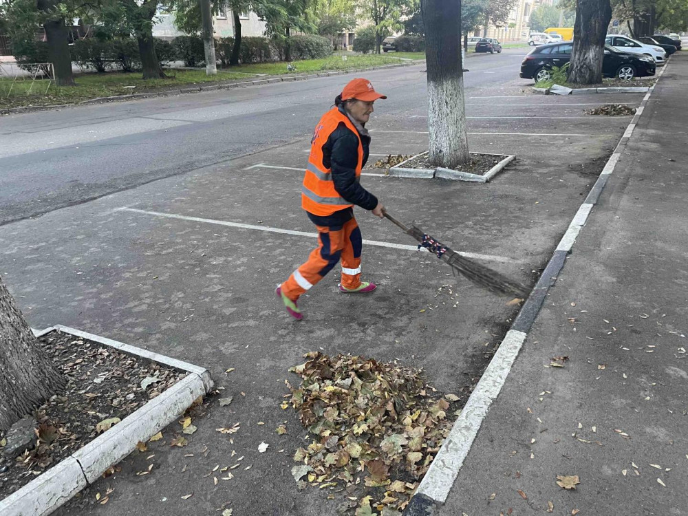 10575 image for slide