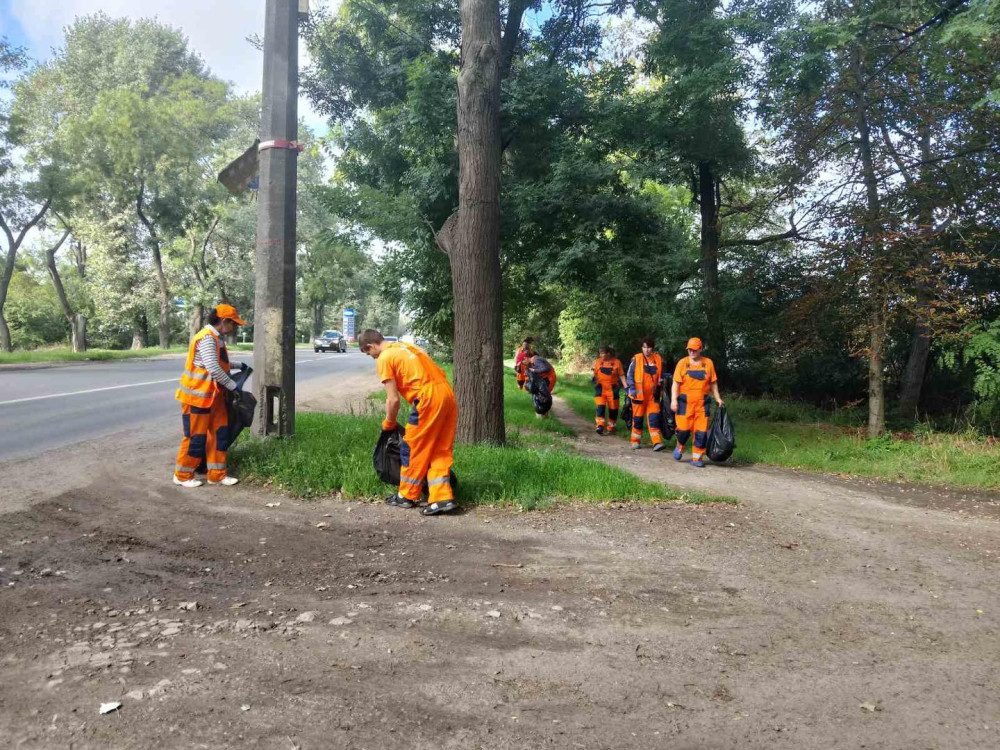 10577 image for slide