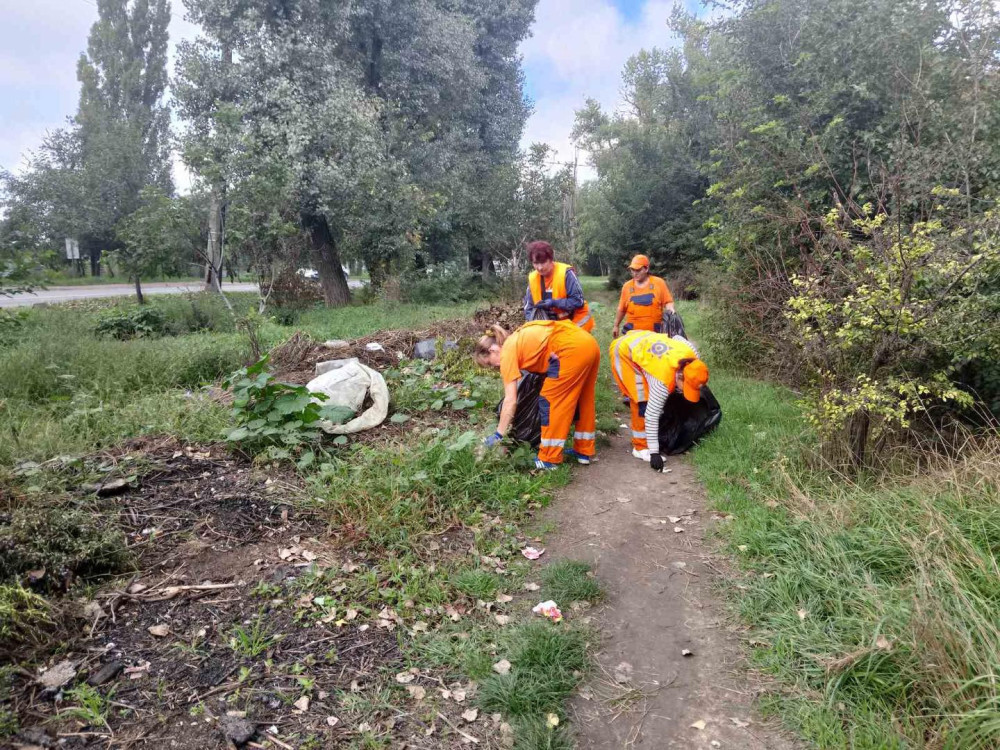 10578 image for slide