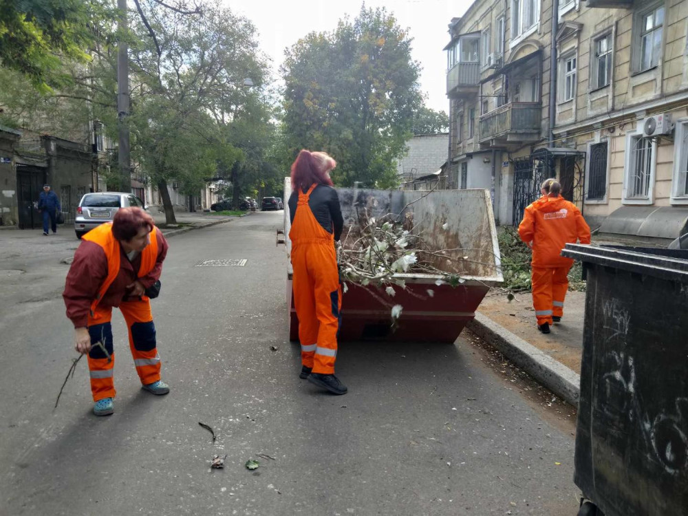 10582 image for slide