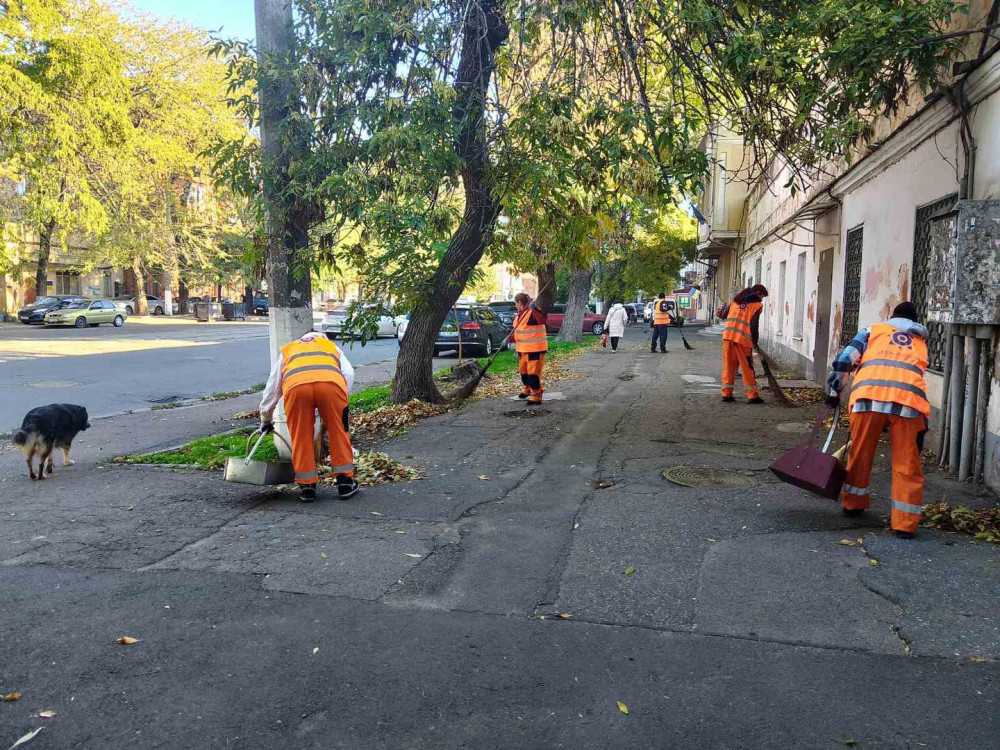 10584 image for slide