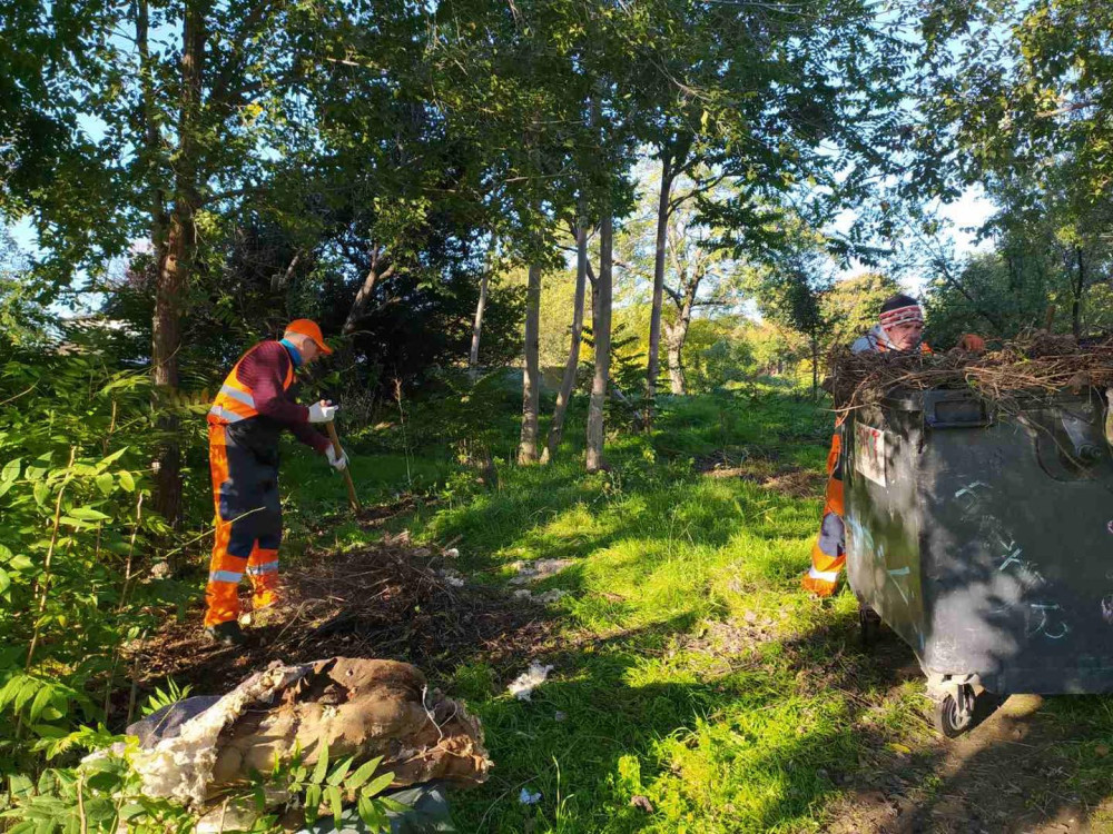 10585 image for slide