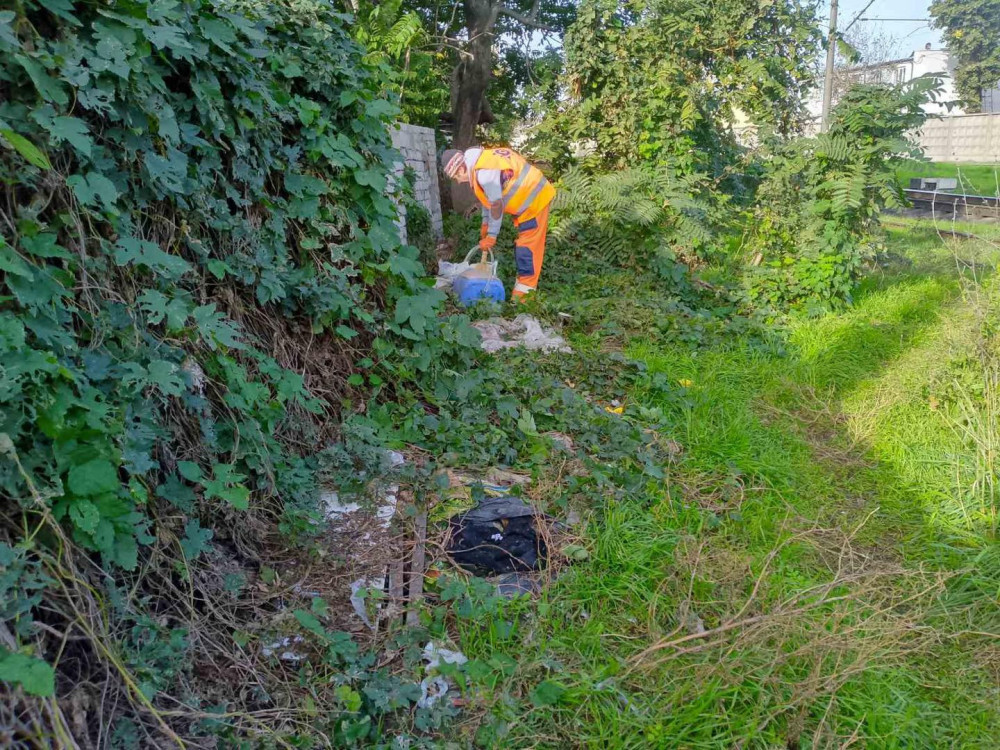 10594 image for slide