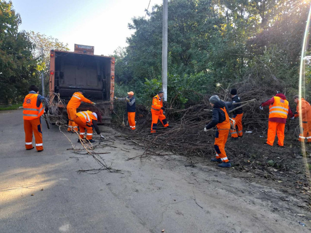 10595 image for slide