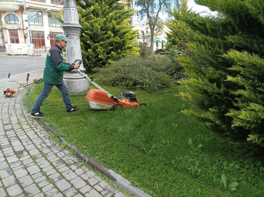 10645 image for slide