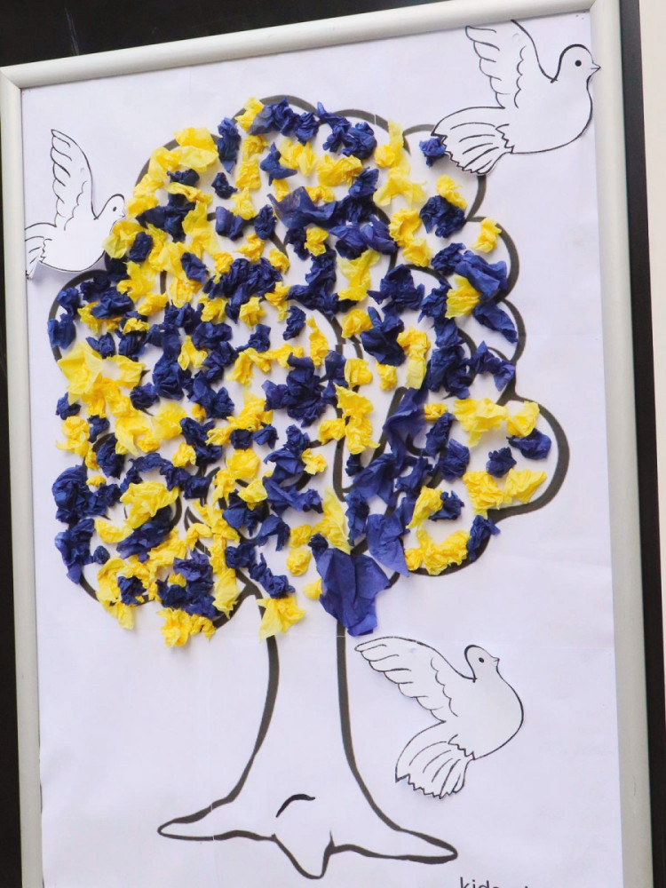 11322 image for slide