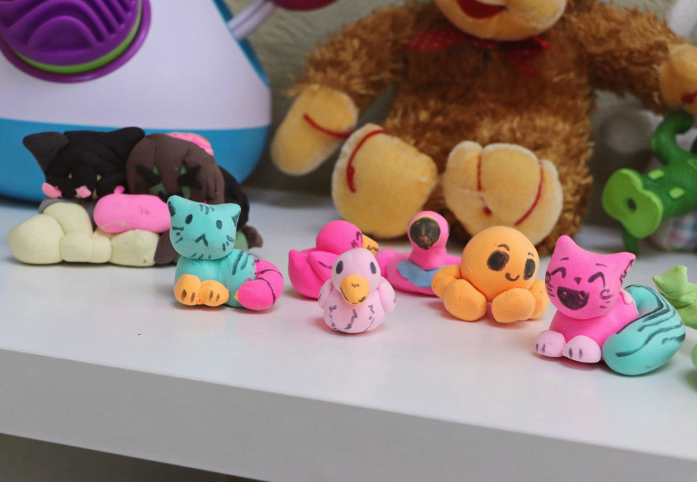 11334 image for slide