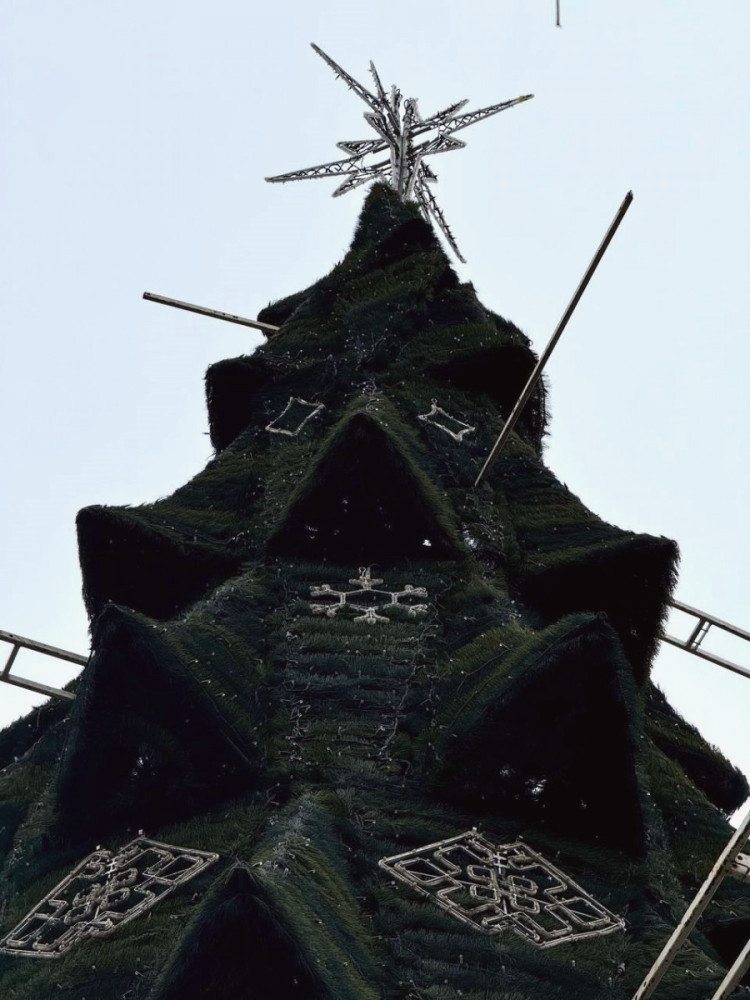 11711 image for slide