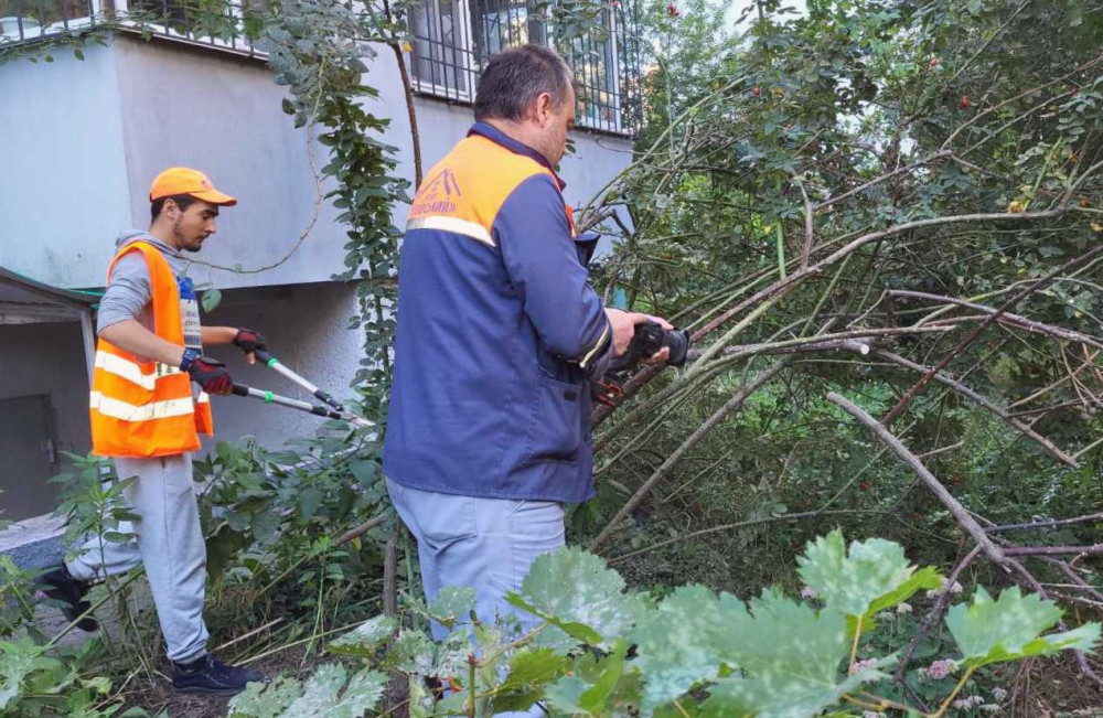 11907 image for slide