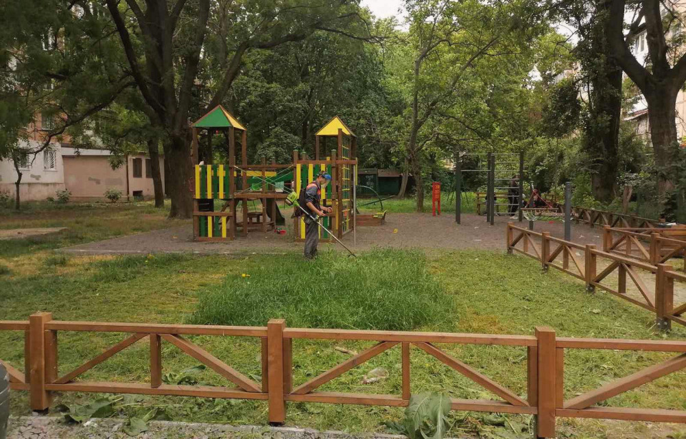 11908 image for slide