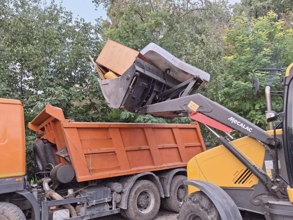 11910 image for slide