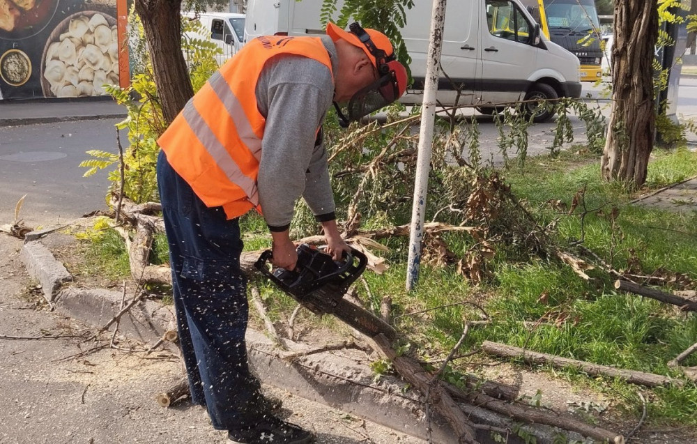 11911 image for slide