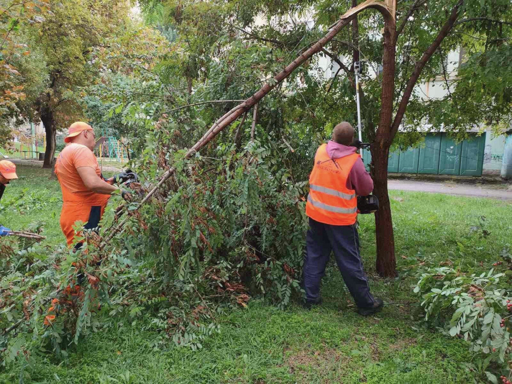 11913 image for slide